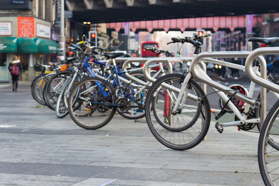 Premium bicycle rental fleet ready for adventure with mountain and city bikes